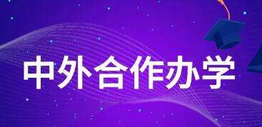 教育部关于批准2020年下半年中外合作办学项目的通知